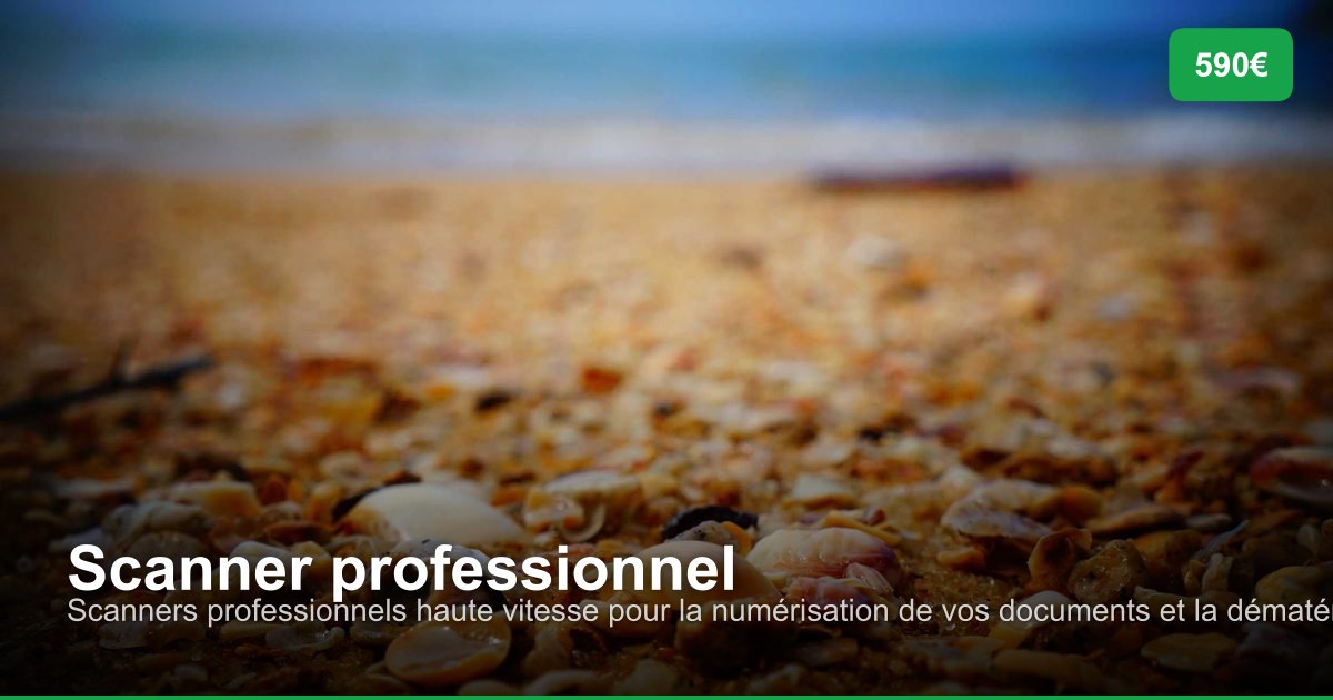 Scanner professionnel dans l'arrondissement de Turnhout